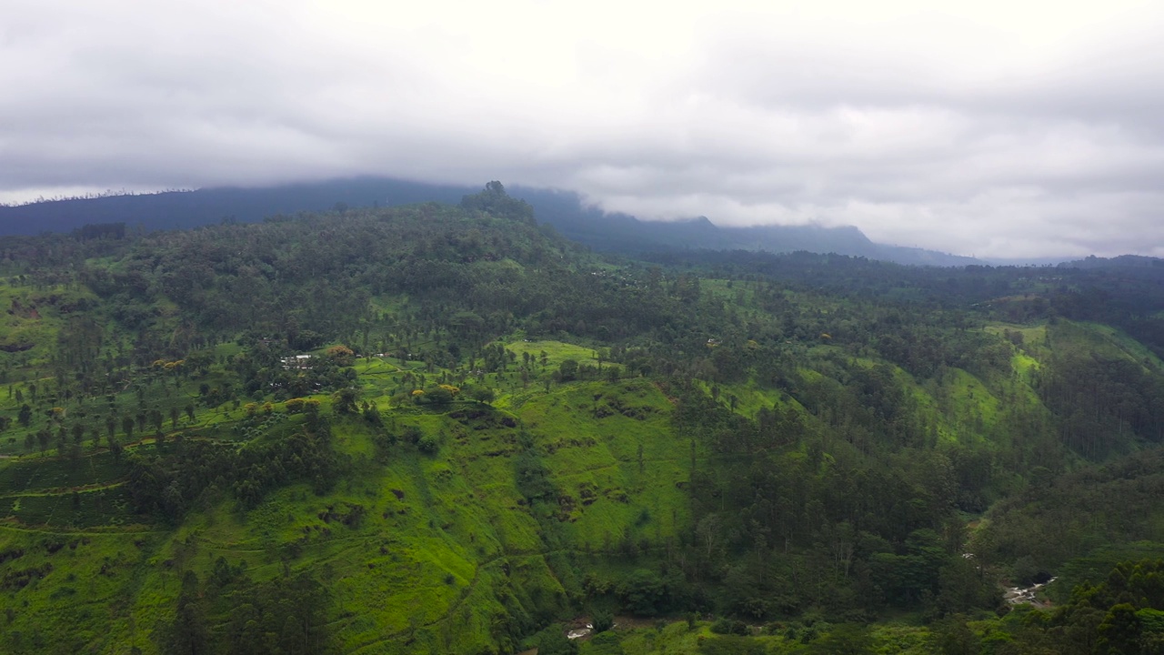 俯瞰热带景观与茶庄园。视频素材