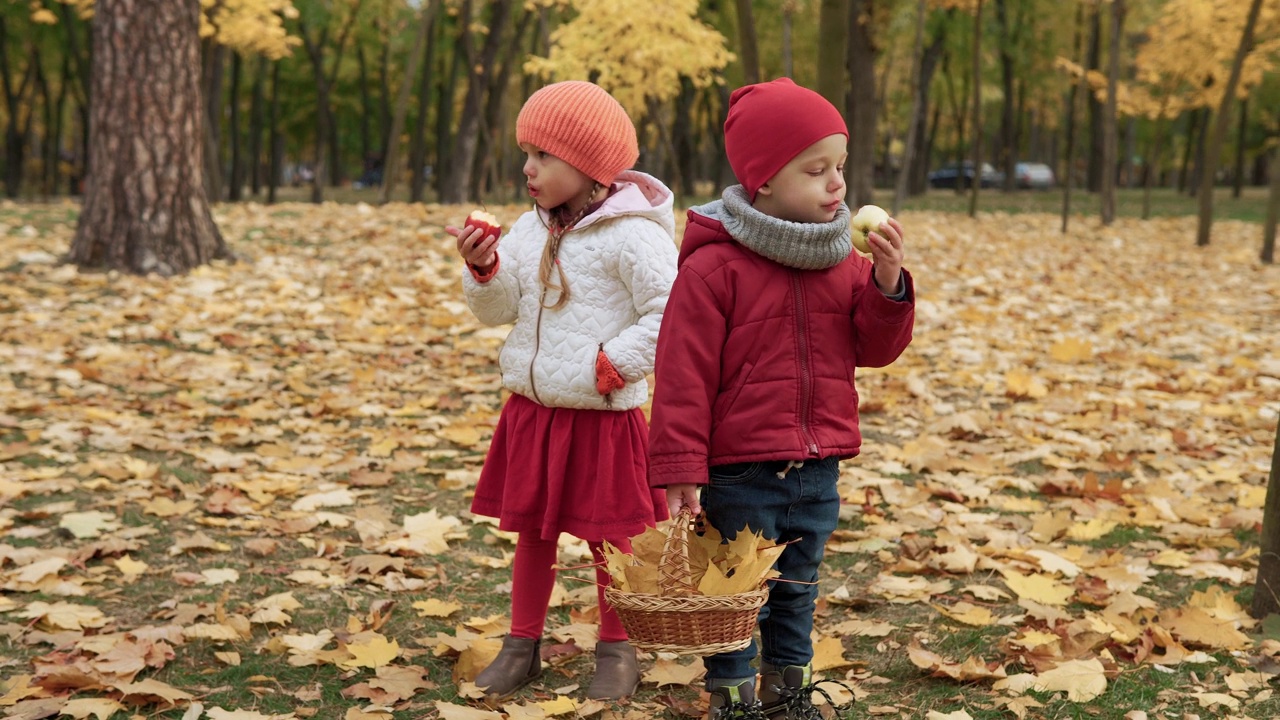 小学前班孩子兄弟姐妹女孩和男孩微笑在格子黄色的落叶在篮子野餐孩子们吃水果红苹果看着相机天气在秋天的公园。合家秋收概念视频素材