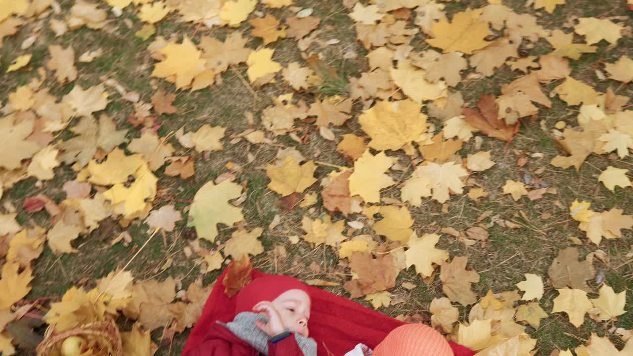 小学前班孩子兄弟姐妹女孩男孩微笑着躺下休息放松在格子落叶篮子野餐孩子们吃水果红苹果看着相机在秋天的公园。合家秋收概念视频素材