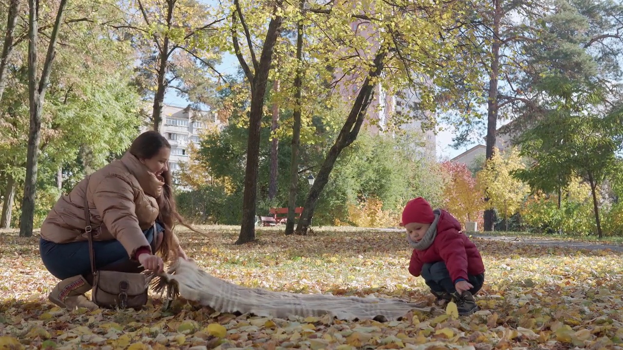 年轻的母亲保姆和小孩野餐孩子男孩在地上铺格子黄落叶在篮子里吃红苹果看着相机寒冷的天气在秋天的公园。童年，家庭，秋天视频素材