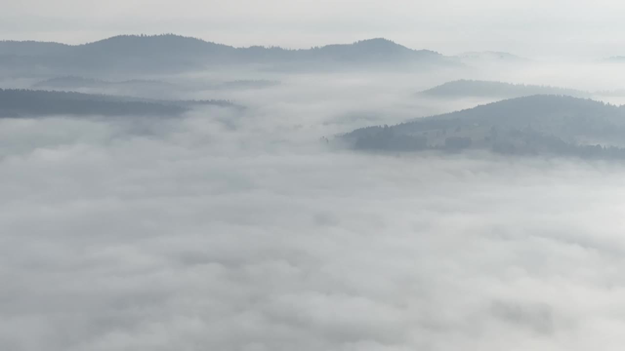 在一个美丽的早晨，无人机拍摄的薄雾吹过松树林的画面。山上云杉树林的航拍镜头。复制空间自然背景。视频素材