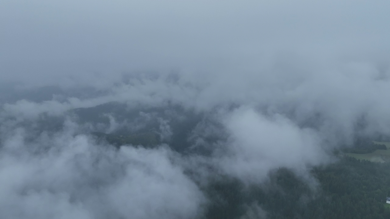 山区多雨的天气。薄雾吹过松树林。云杉森林树木在云雾天山上的航拍镜头。美丽森林的晨雾。视频素材