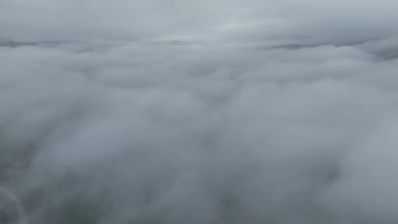 山区多雨的天气。薄雾吹过松树林。云杉森林树木在云雾天山上的航拍镜头。抽象复制空间自然背景。视频素材