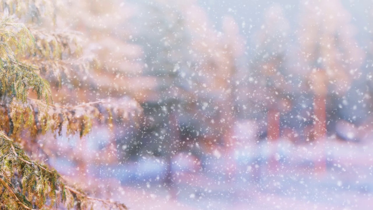 可循环的圣诞场景。美丽的冬季景色和飘落的雪花。视频素材