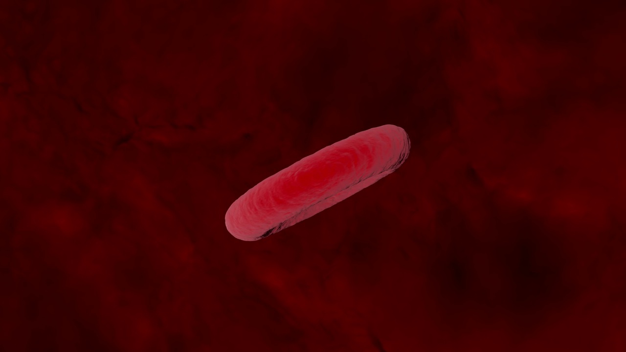 红血细胞分离在暗红色背景的动画视频下载