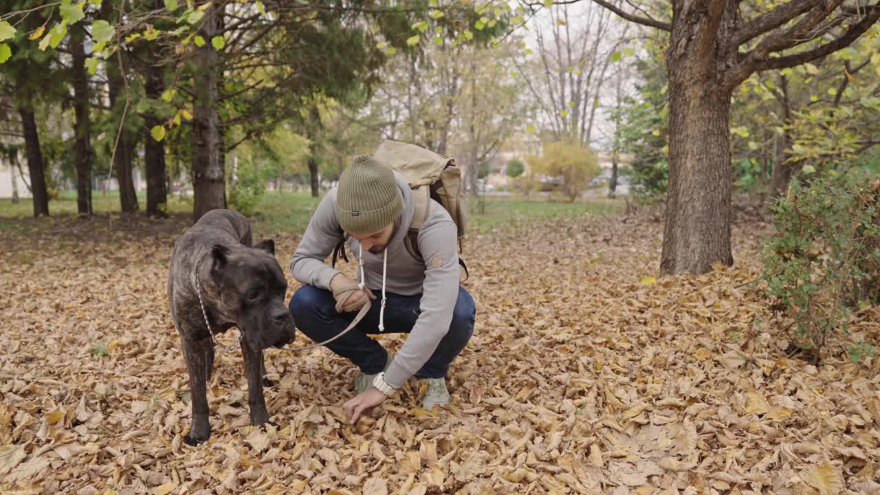 和狗在公园的一天视频素材