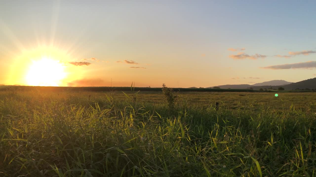 来自夕阳的明亮阳光照耀在绿色的牧场上。视频素材