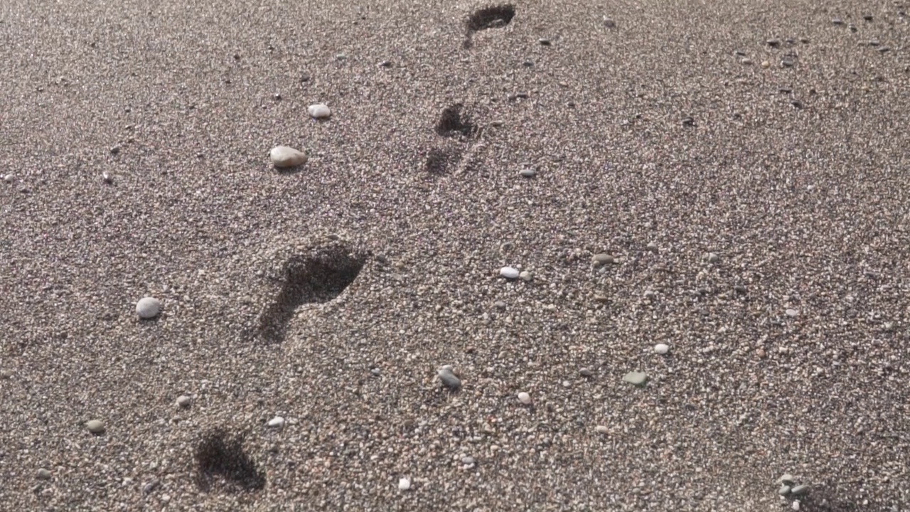 沙滩上的脚印视频下载