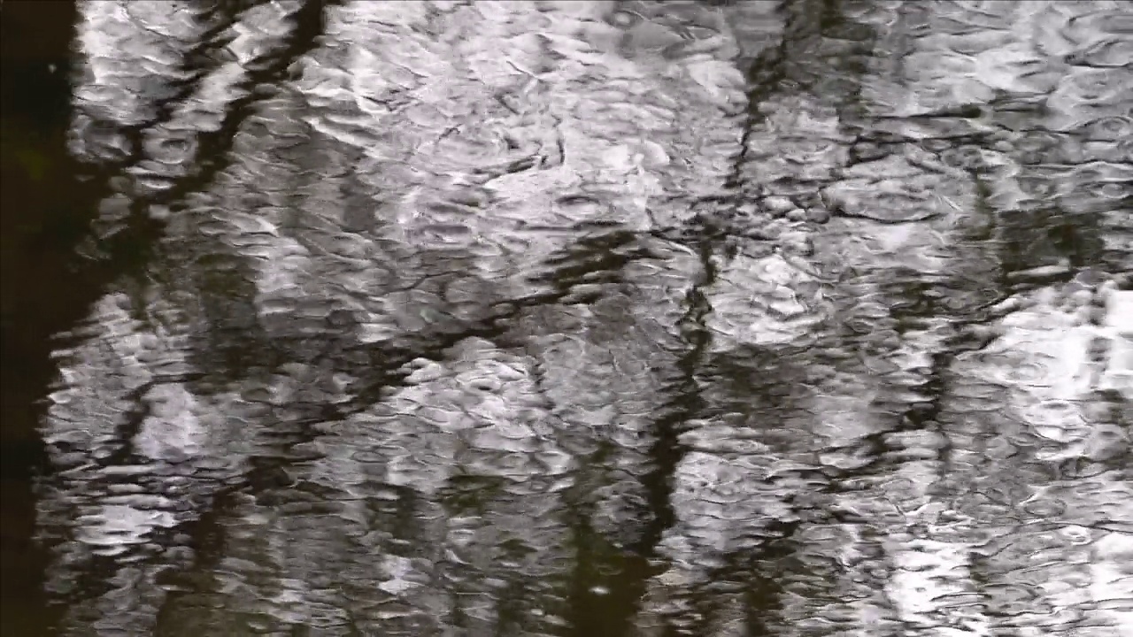 清澈溪水中的倒影视频素材