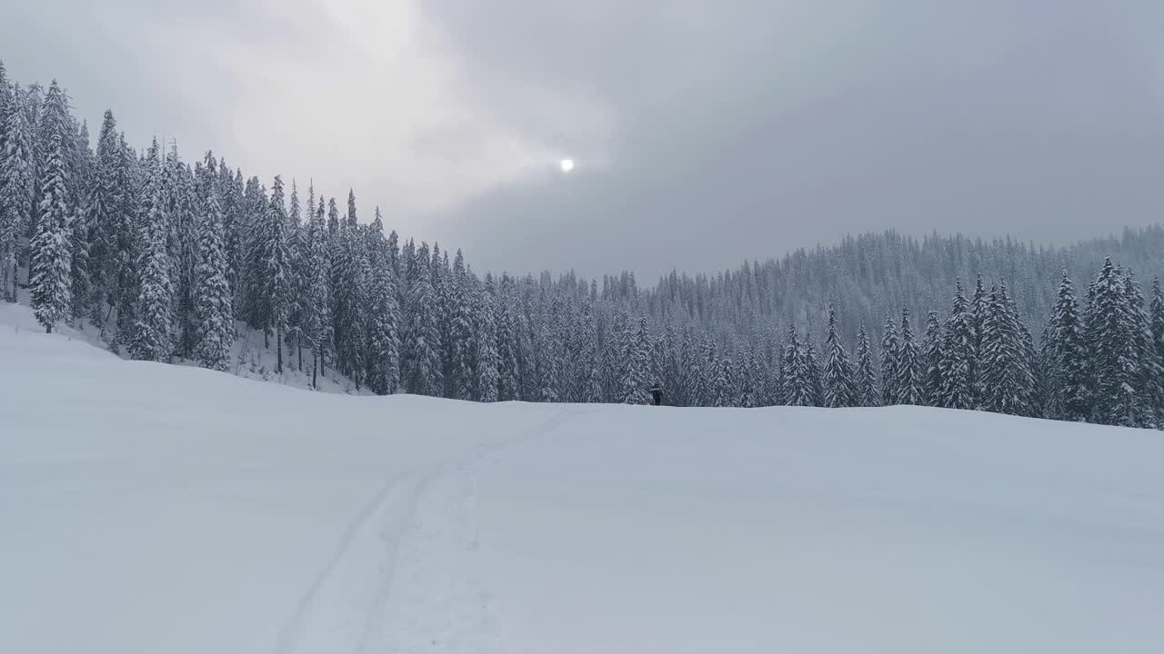 一个下雪天夜晚的冬季景观视频素材