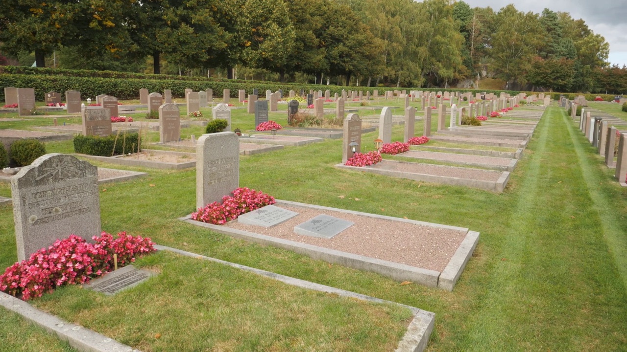 成排的坟墓与红色的花在墓地，潘射击视频下载