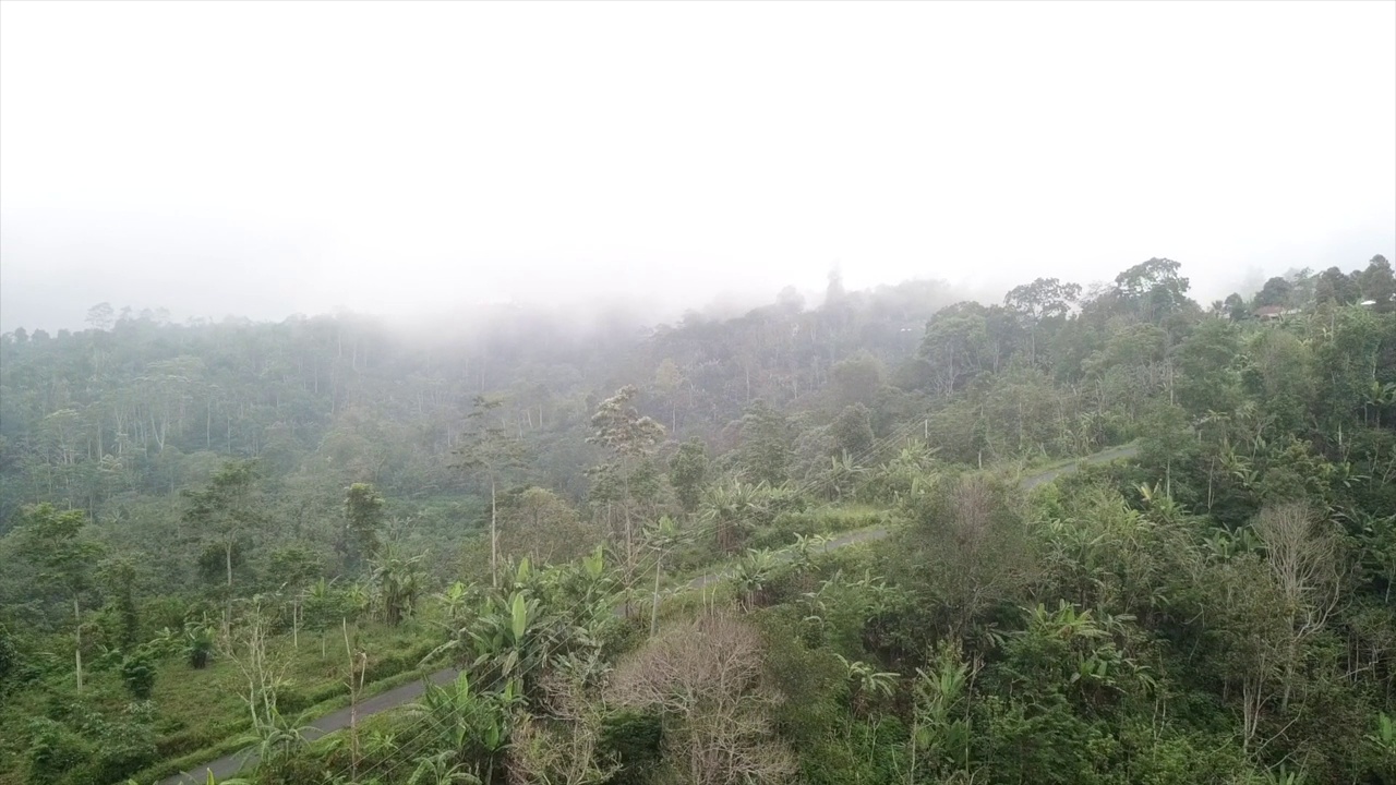 雾中非常绿色的热带森林的鸟瞰图。视频素材