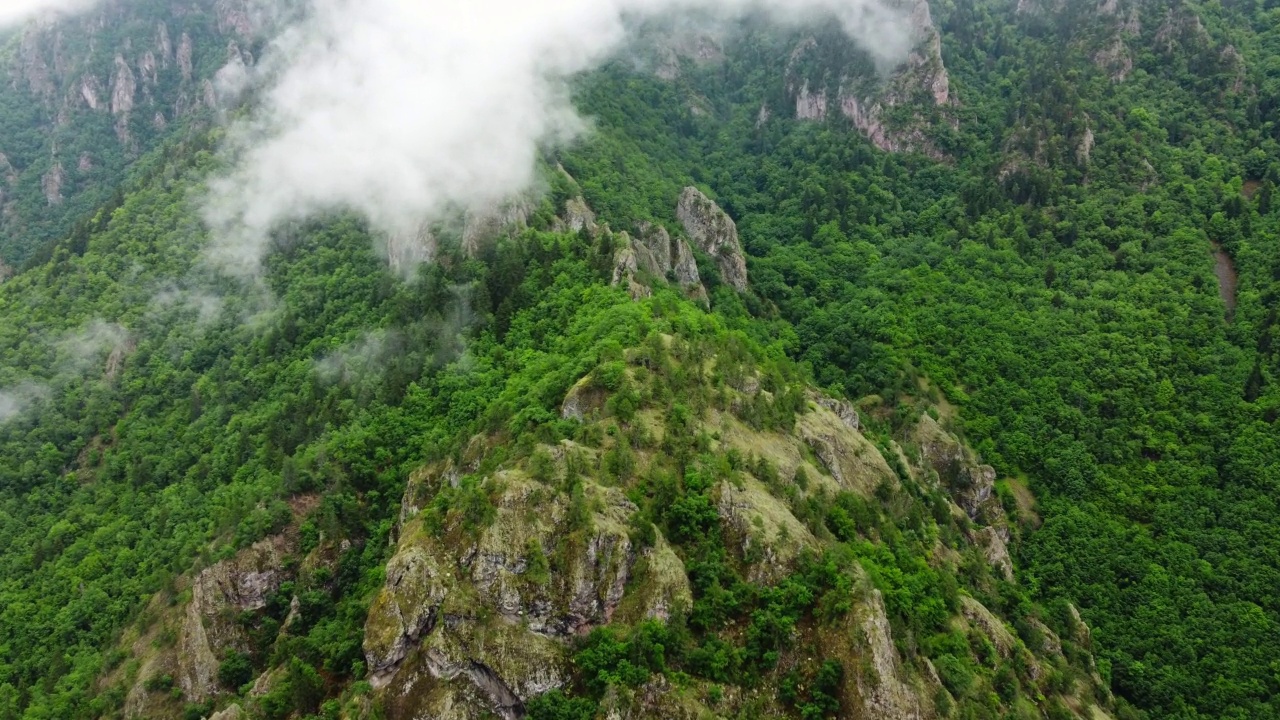 自然云山夏林晨雾树空中美景，到处走，土耳其视频素材