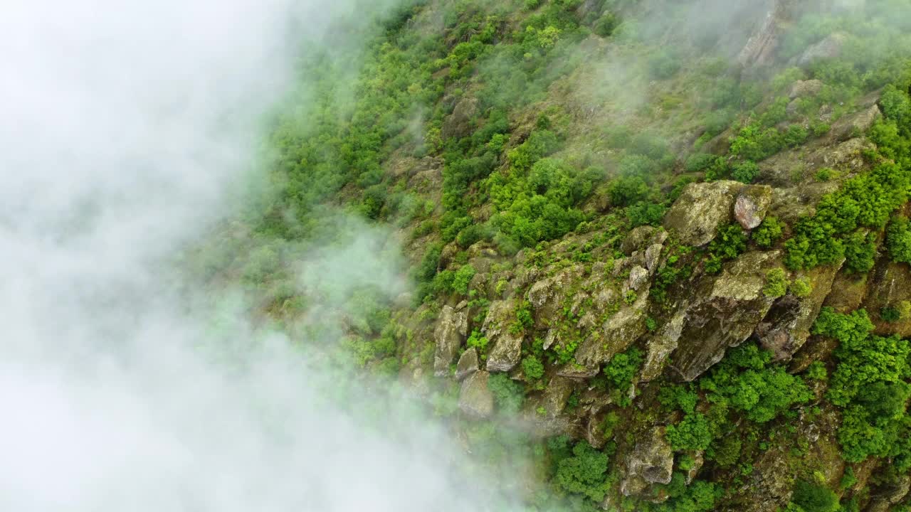 自然云山夏林晨雾树空中美景，土耳其视频素材