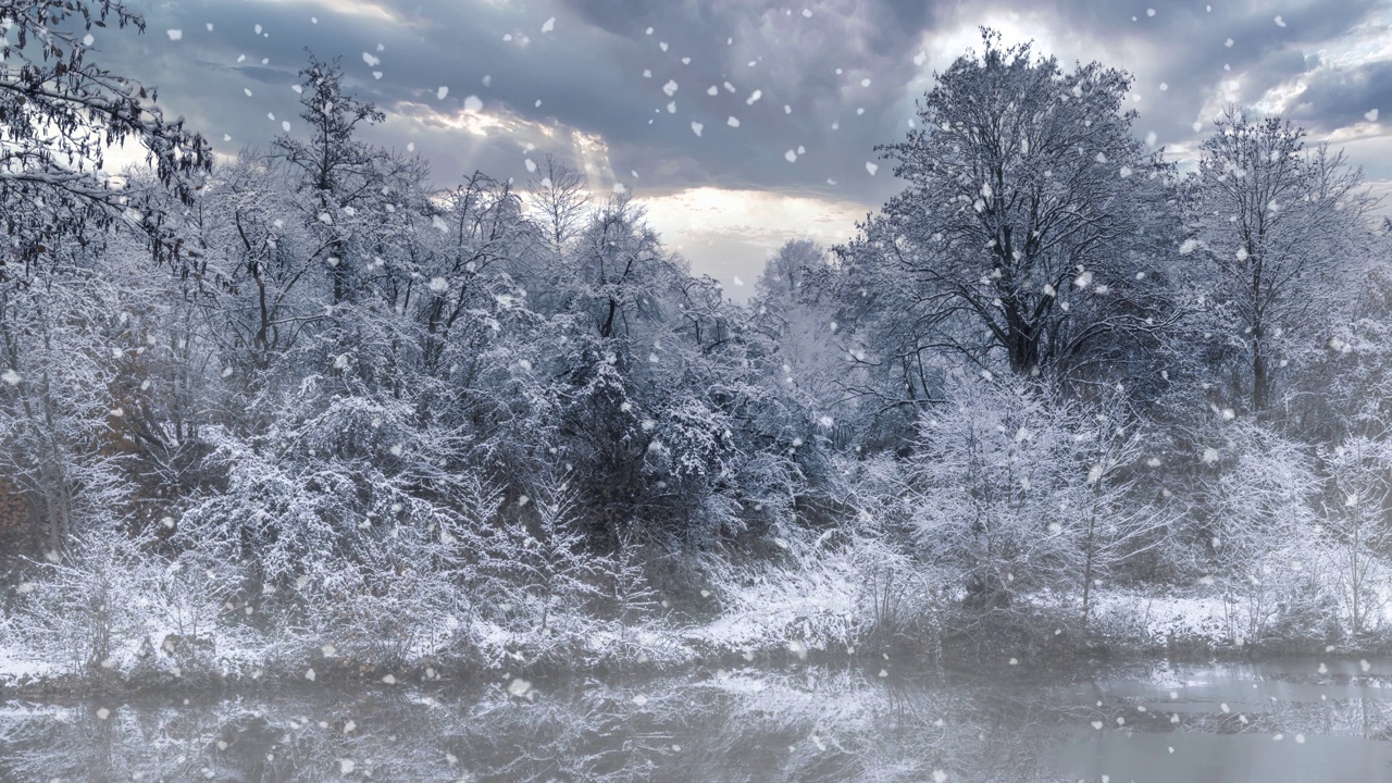被雪覆盖的树木矗立在雪和雾的河边视频下载