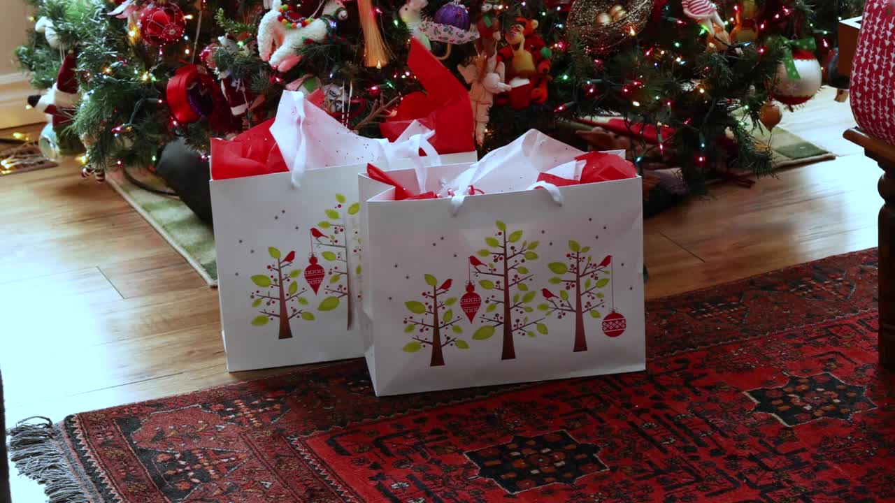 圣诞节的时候，从树下拿礼物。视频下载