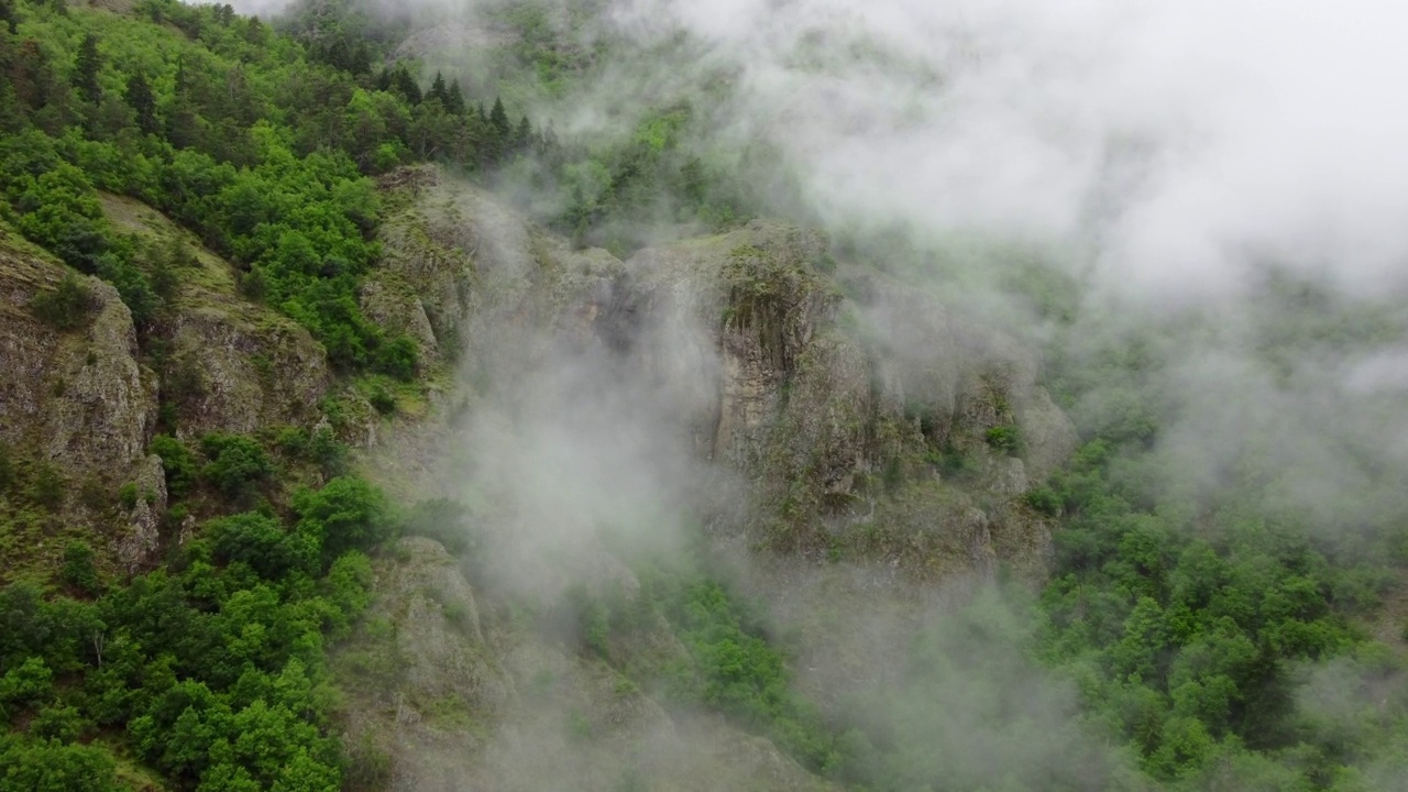 山林里美丽的云。朦胧的雾吹过树木空中俯瞰景观。夏日森林里的晨雾视频素材
