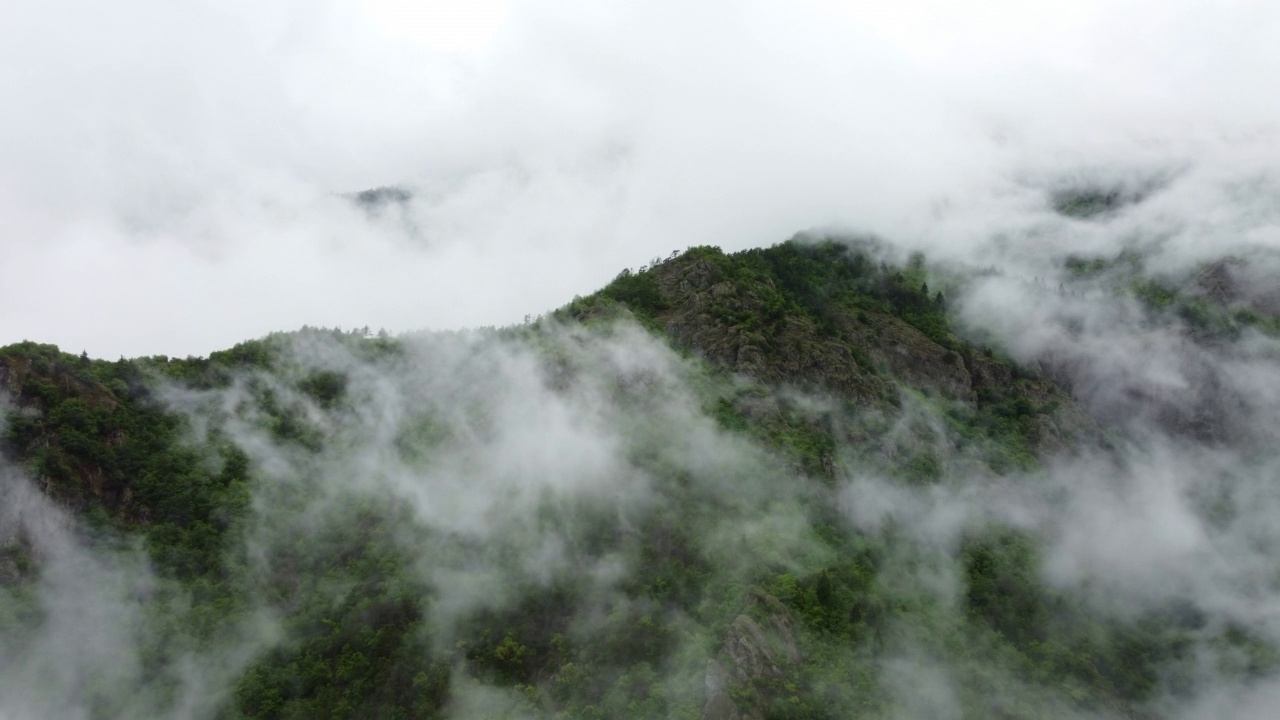 山林里美丽的云。朦胧的雾吹过树木空中俯瞰景观。夏日森林里的晨雾视频素材
