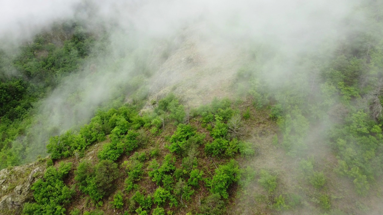 山中夏林，自然，俯视图，飞越云层，美丽的自然背景视频素材