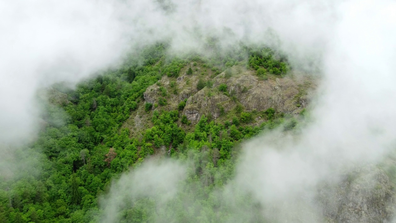 飞越云端美丽的原生态山林自然清晨自然背景视频素材