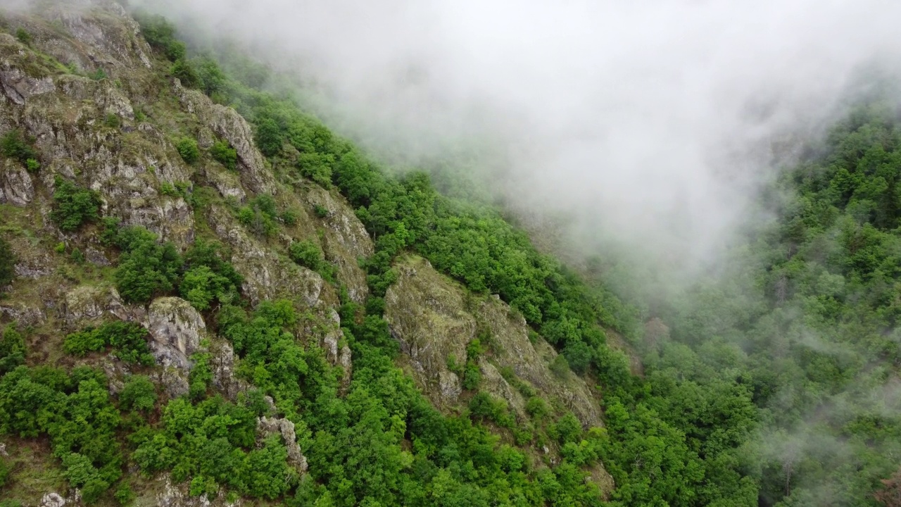 山林里美丽神奇的云。多雨的天气，雾蒙蒙的雾吹过树木在早晨鸟瞰景观视频素材