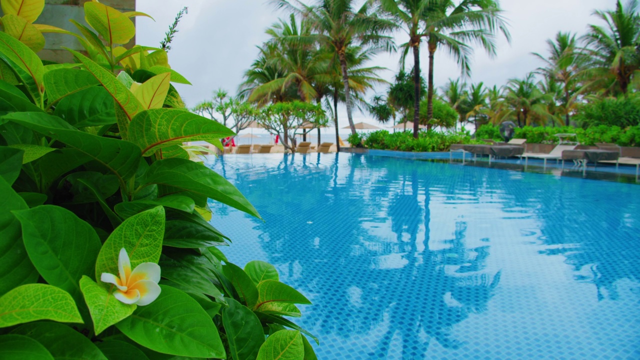 温泉度假游泳池与棕榈树热带海洋海滩的背景。豪华海上度假胜地蓝色盆地附近的奇异绿色植物叶子。温暖国家之旅的概念。视频下载