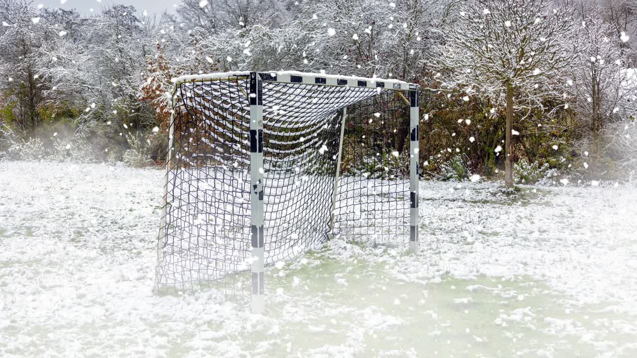足球场上和球门被雪覆盖在阴天的雪花视频下载
