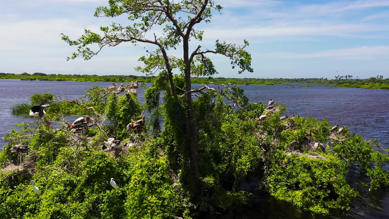 库马纳国家公园，有湖泊和鸟类。视频素材
