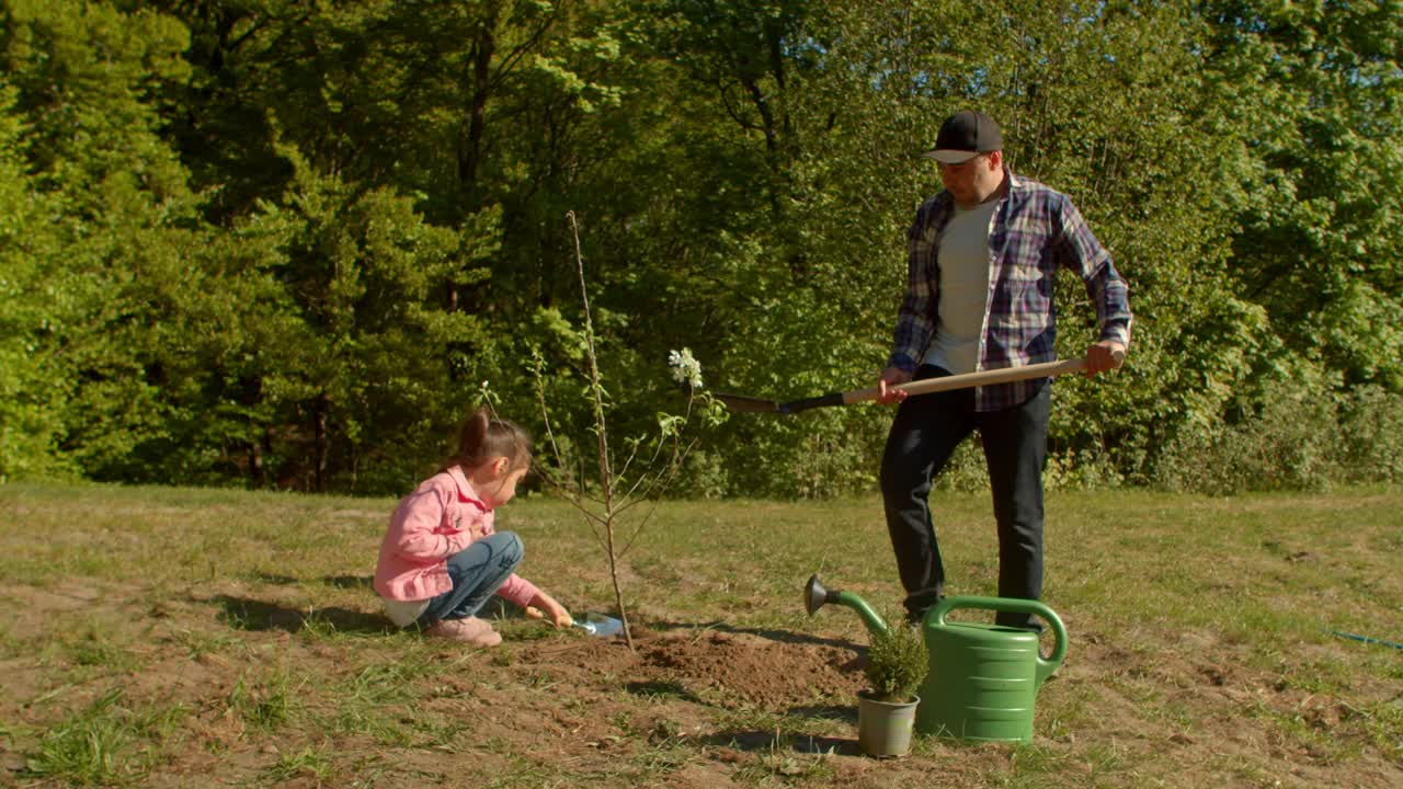 小女儿和爸爸正在公园里种树。视频下载