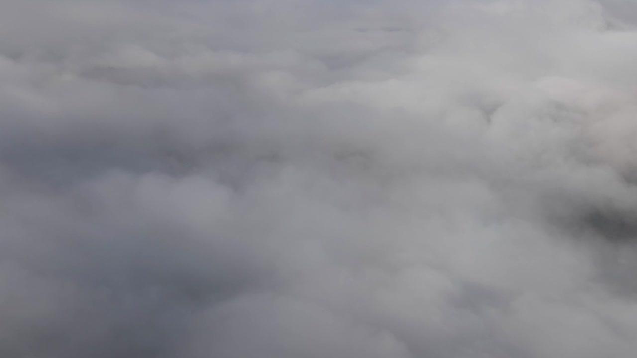 云杉森林树木在云雾天山上的航拍镜头。多雨多云的山区天气。薄雾吹过松树林。美丽秋林的晨雾视频素材