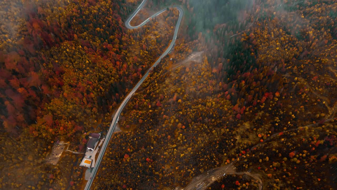 4k鸟瞰视频俯视图彩色树木的深秋森林与蜿蜒的乡村道路视频素材