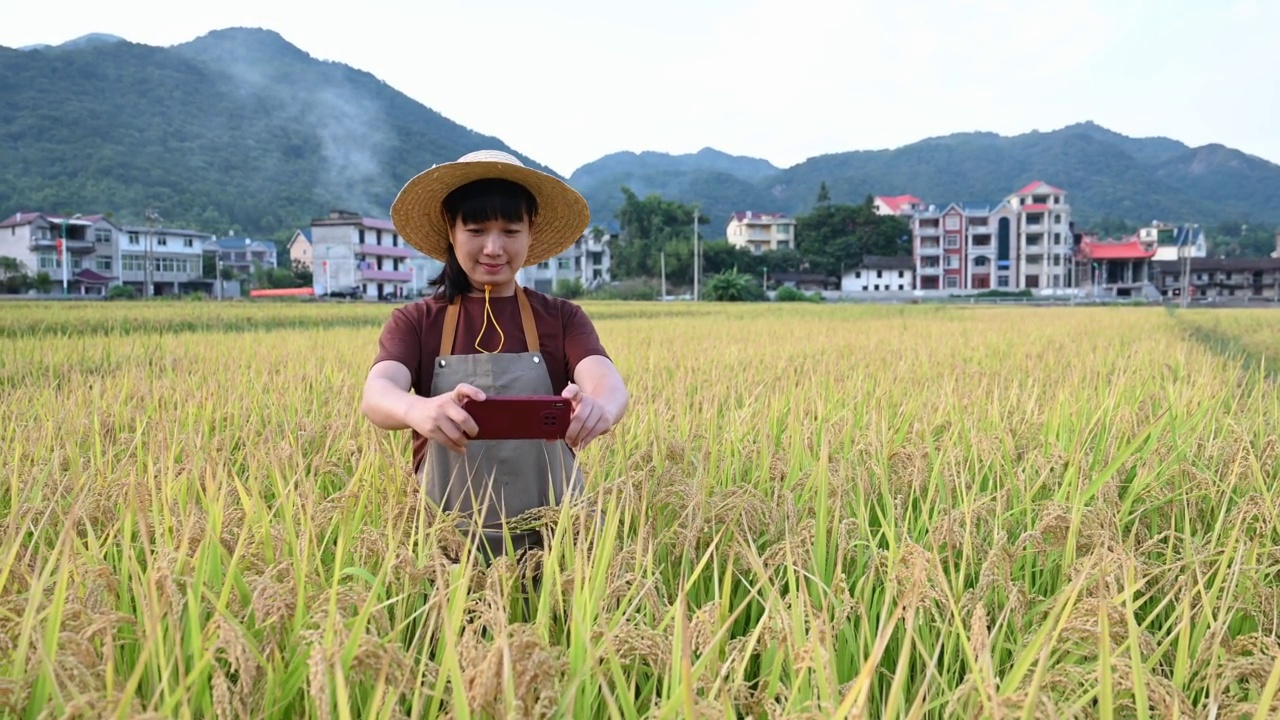 一位年轻的农民在稻田里用她的手机工作视频下载