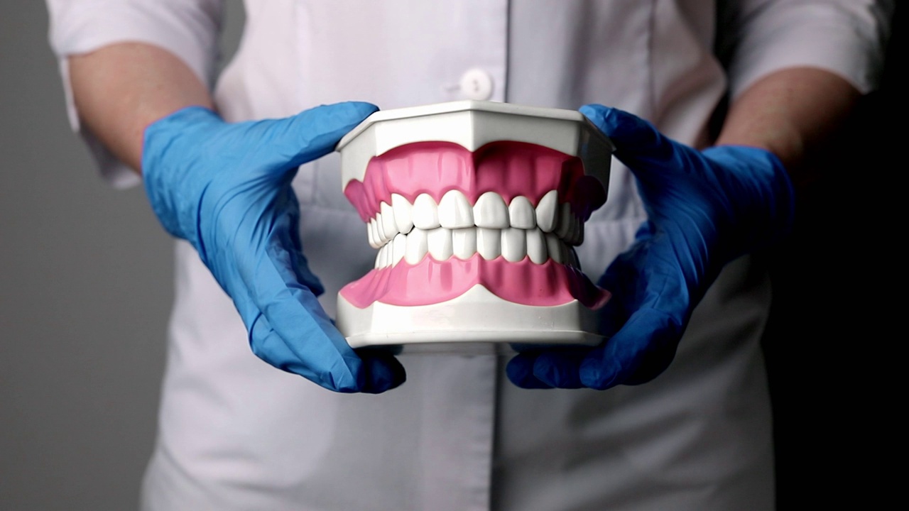 牙齿模型，牙床和牙齿在牙医手中，张开和闭合嘴巴。口腔医学和牙科概念视频下载