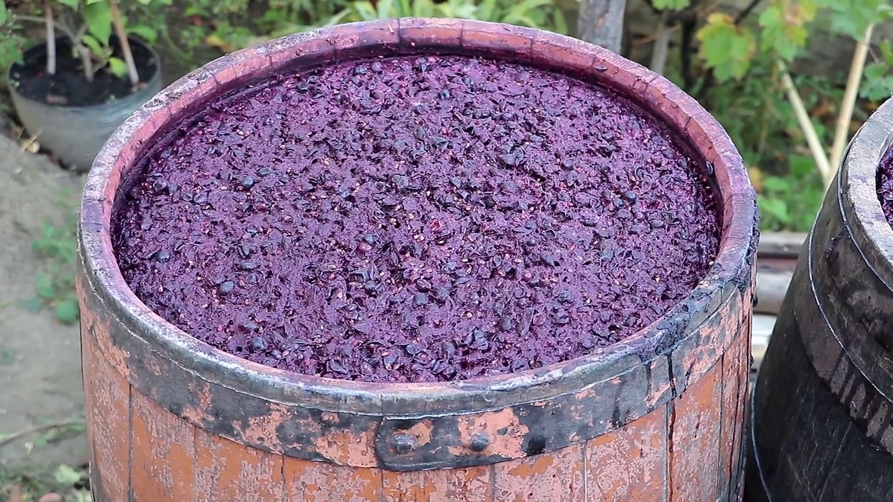 红葡萄酒在木桶中发酵过程。酿酒概念视频素材