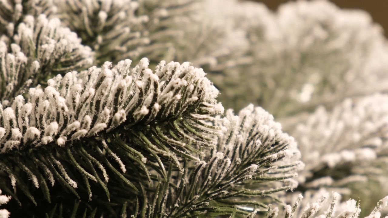 白雪覆盖的圣诞树的树枝美丽的冬季特写镜头。视频素材