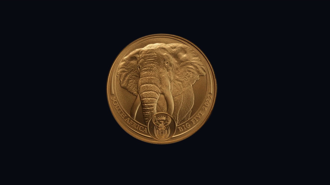 大象金币视频下载