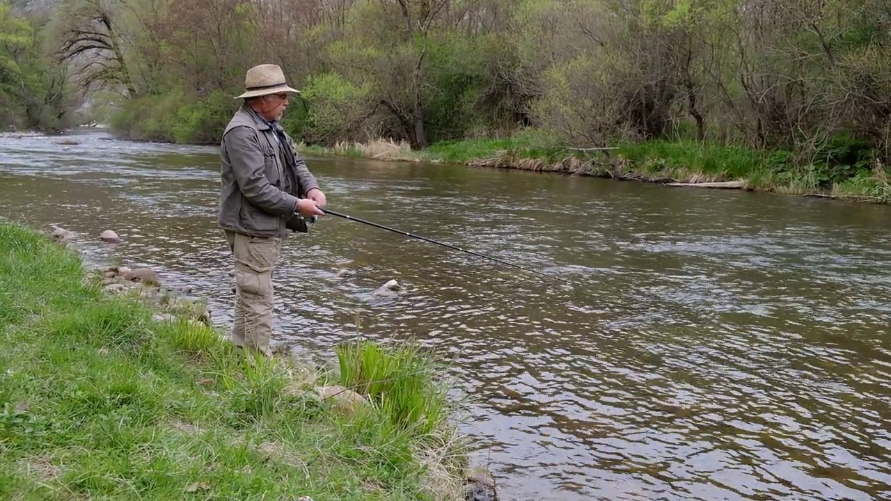 老年人在春天的河边钓鱼，带着一只狗视频下载