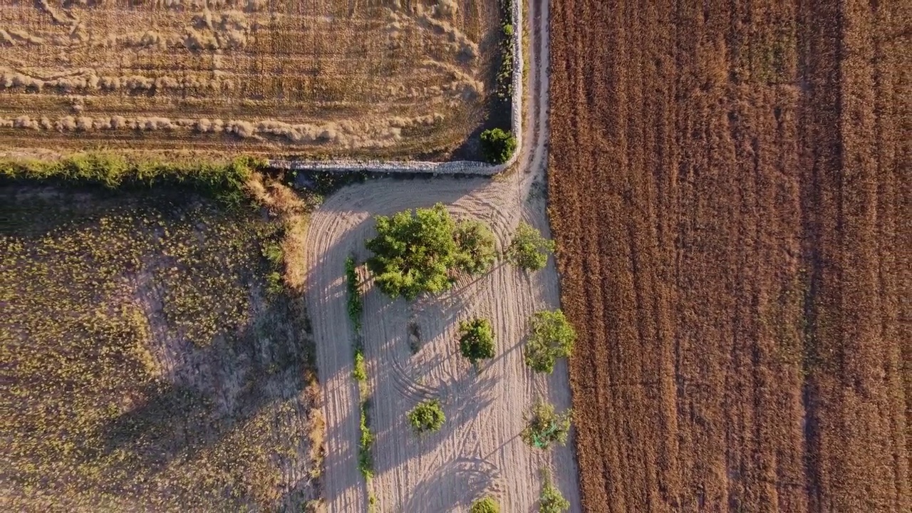 马略卡岛农村地区的田野鸟瞰图。视频素材