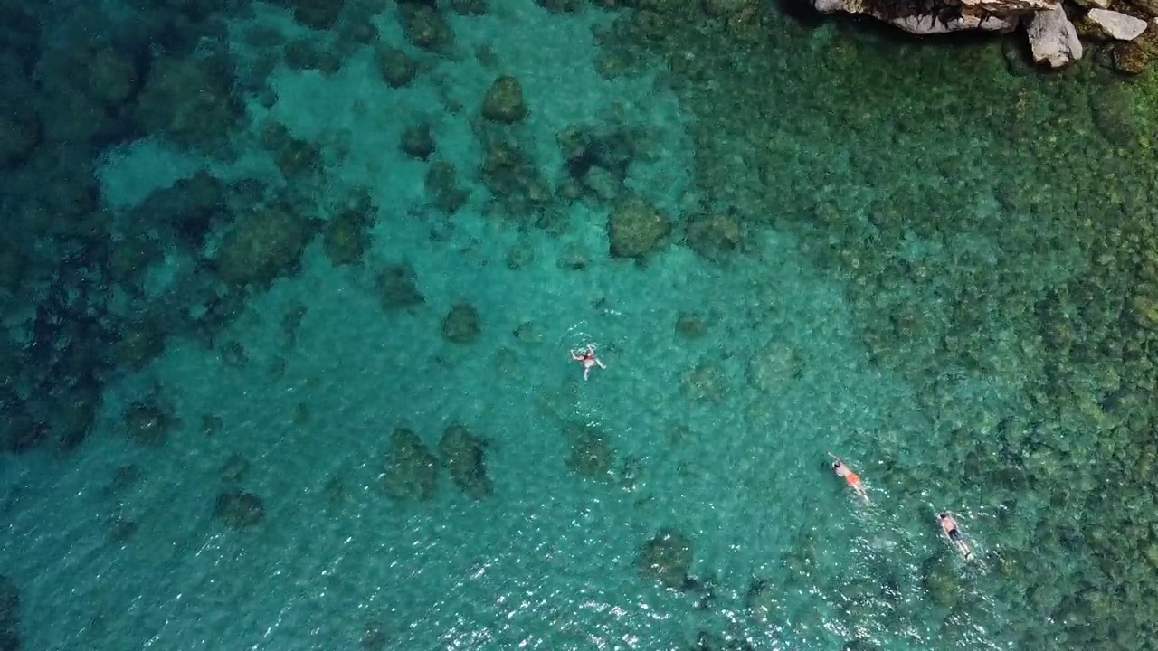 人们在清澈的水中浮潜的鸟瞰图视频下载