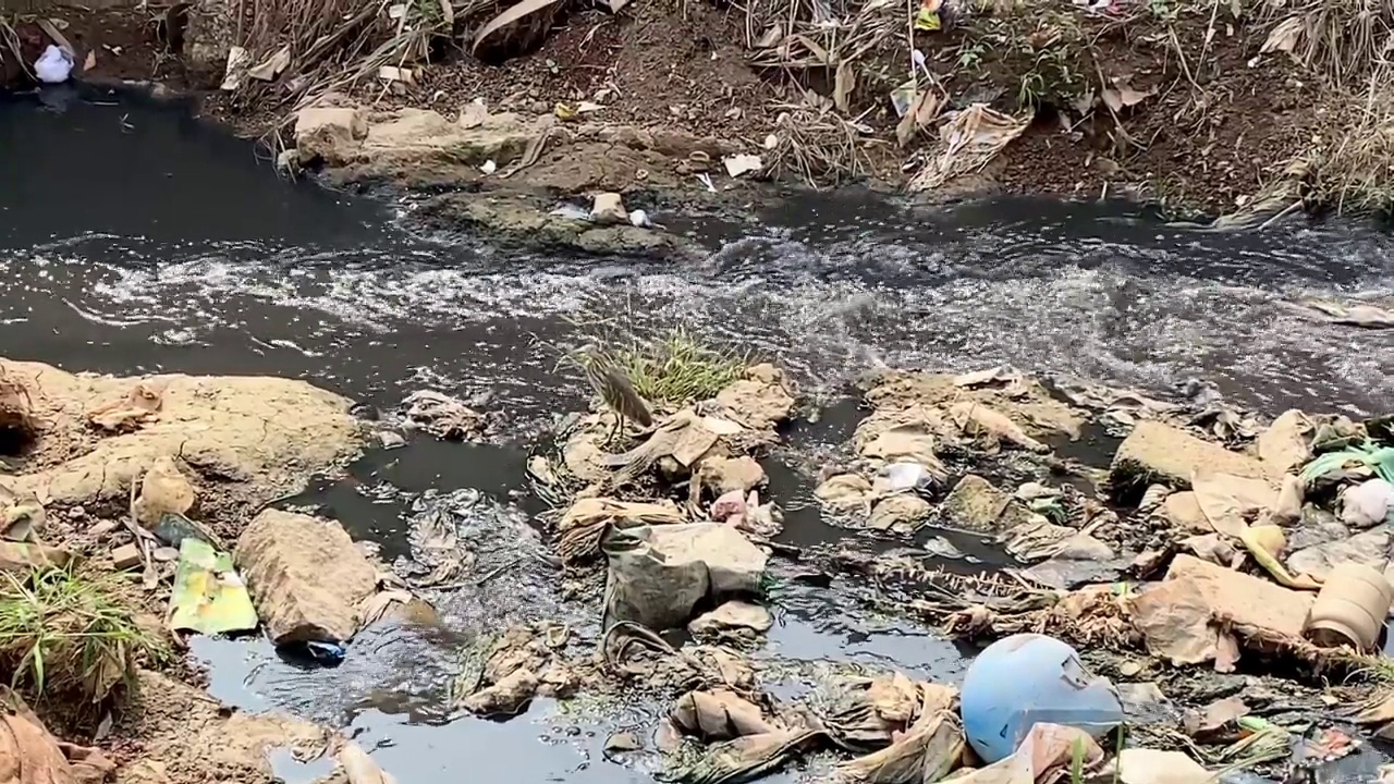 水污染视频下载