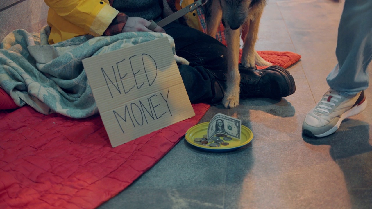 乞丐的狗正在闻一个装着施舍的盘子视频下载