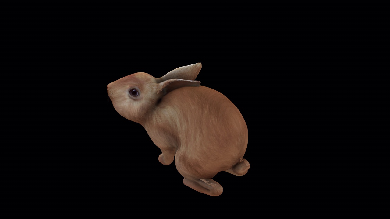棕色兔子吃顶角后视图视频下载