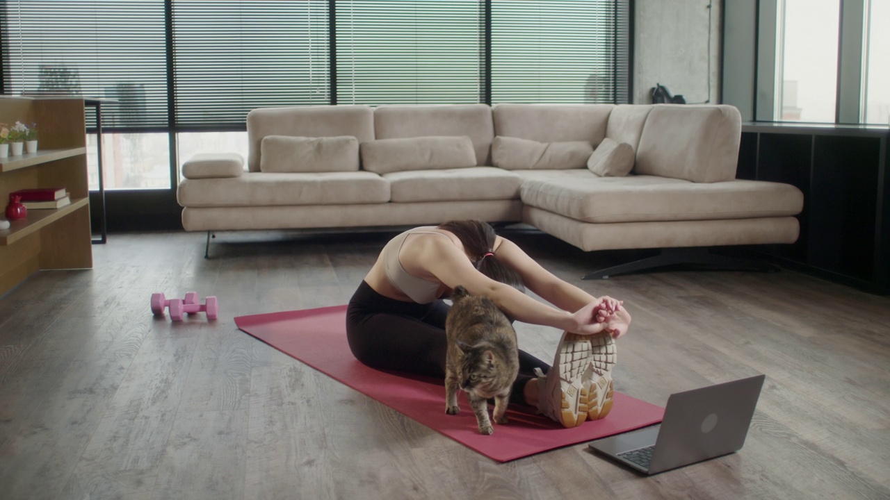 运动的亚洲妇女在运动服工作在家与猫。女性在打开的笔记本电脑前，在瑜伽垫上练习腿部拉伸运动，重复专业健身教练的指导，观看在线视频教程视频下载