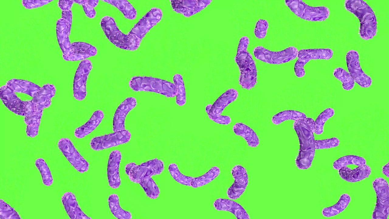 细菌雨点般落在绿色屏幕上。3 d动画。科学的概念。视频下载