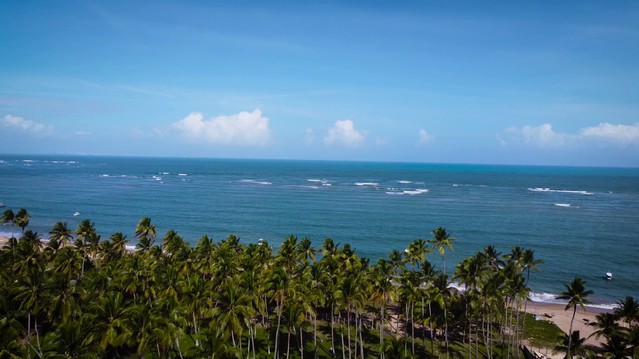 幸福的巴西蓝色海水海滩摄像机从椰子树上的海滩移动视频素材