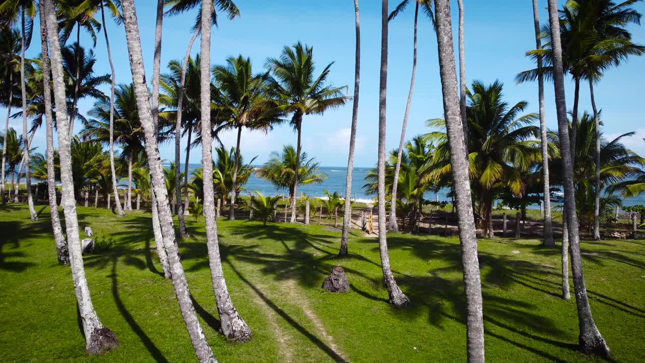 穿过椰子树和棕榈叶，来到白色的海滩、蓝色的海洋和两艘小渔船航拍视频素材