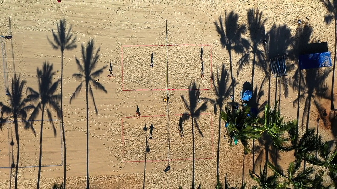 女子在阳光明媚的日子里在棕榈树旁打排球的空中向上拍摄-夏威夷瓦胡岛视频下载
