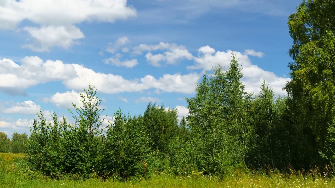 夏日山水林蓝天，飞云自然。用于复制文本的空间。停止运动视频下载