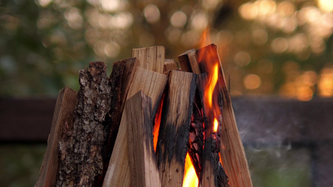 秋天大火中燃烧的原木和烟雾的特写。视频素材