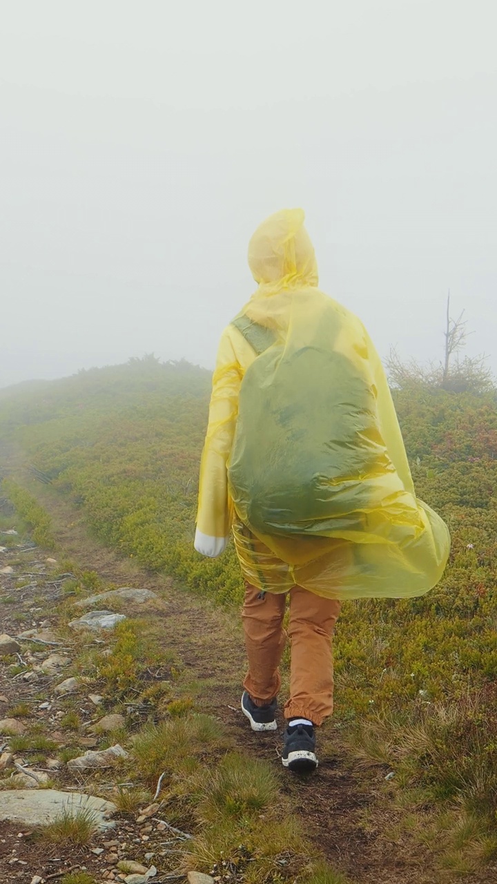 垂直屏幕女徒步旅行者探索自然在一个雾蒙蒙的多雨的景观。视频下载